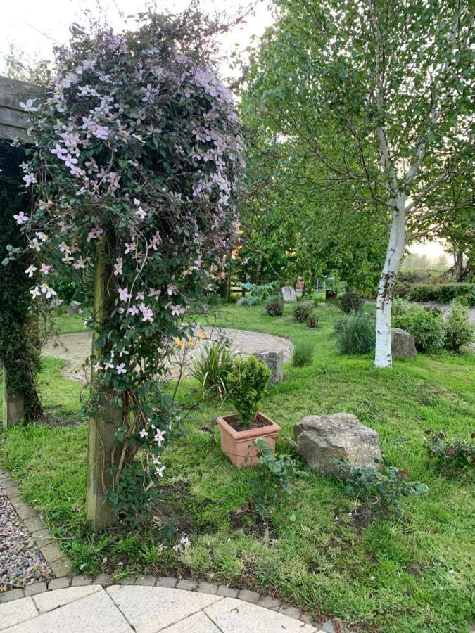 Bed and Breakfast Windyridge Aghagallon Esterno foto