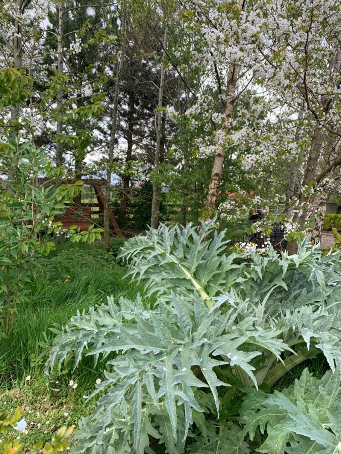 Bed and Breakfast Windyridge Aghagallon Esterno foto